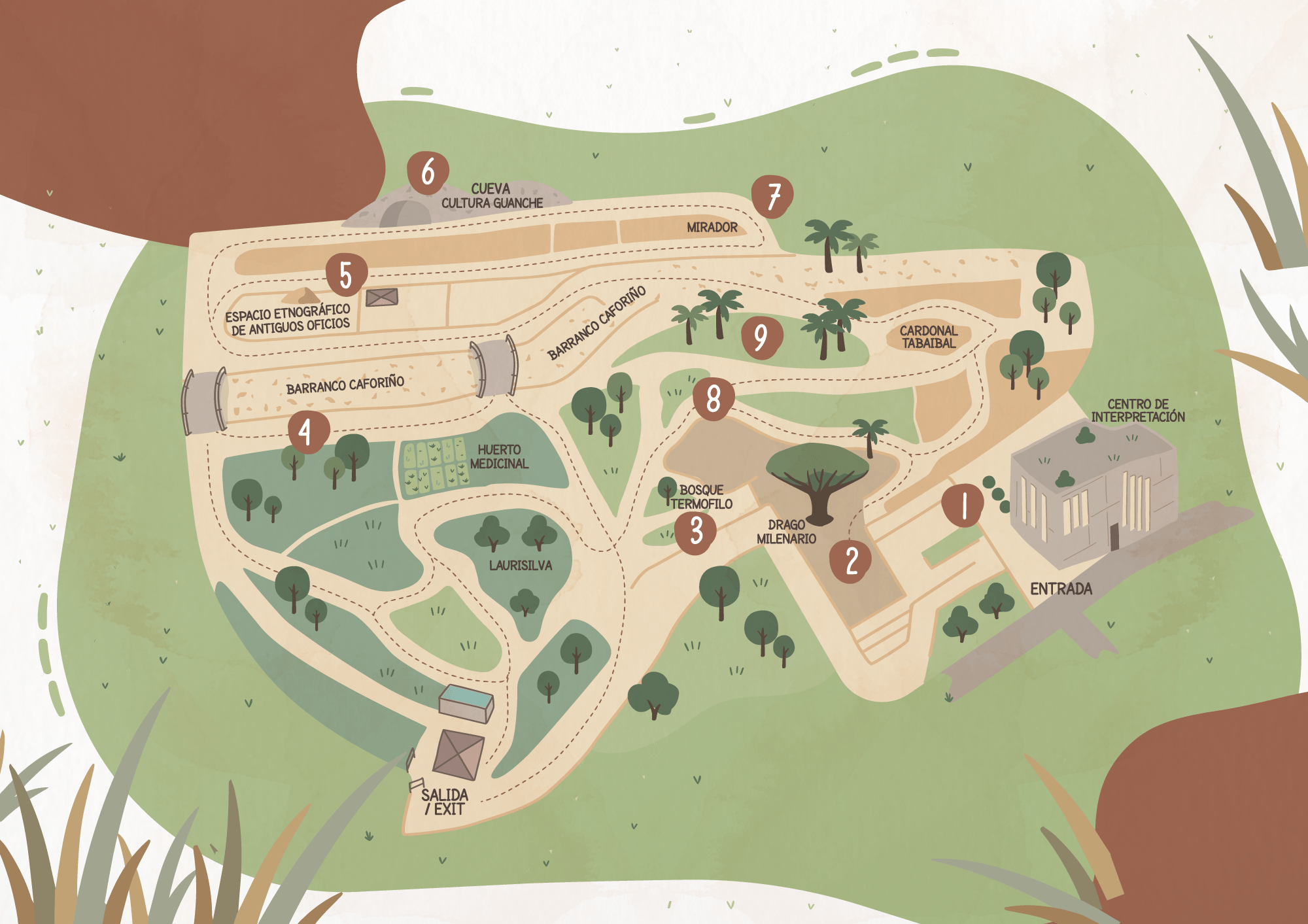 Mapa Ilustrado