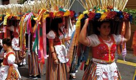 OLYMPUS DIGITAL CAMERA OLYMPUS DIGITAL CAMERA